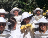 
		Maneig integrat d’explotacions apícoles
	