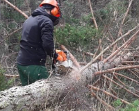 
		Preparació per a la certificació europea de serra mecànica (ECC1)
	