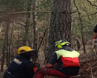 
		Curs Bàsic de Motoserra
	