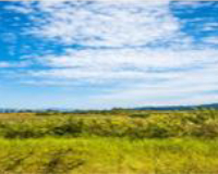 
		Aigua, sòl i fertilització. Ecosistemes
	