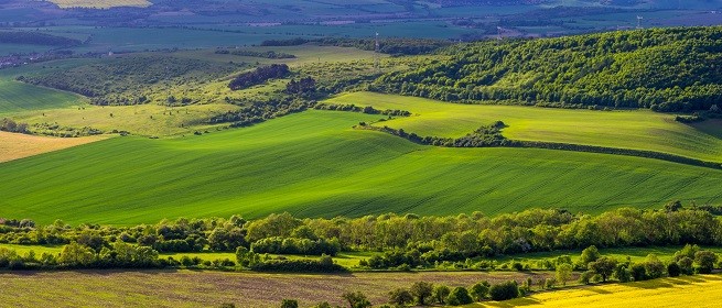 Paisatges agroforestals resilients