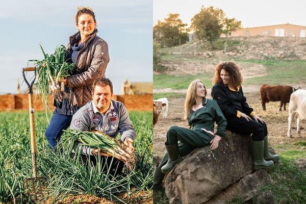 Emprendre en el món rural. Reptes i exemples