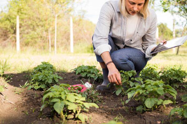La dona en el món rural. Lideratge en femení