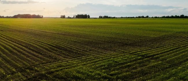 Universitats catalanes impulsen la innovació robòtica i digital al sector agrari amb tres Activitats de Demostració