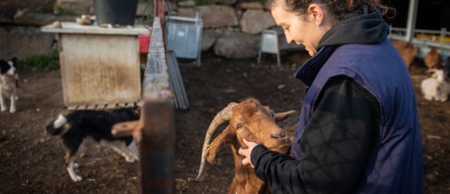 Les dones rurals representen gairebé la meitat de la població rural, però només un 23% estan afiliades al sector primari