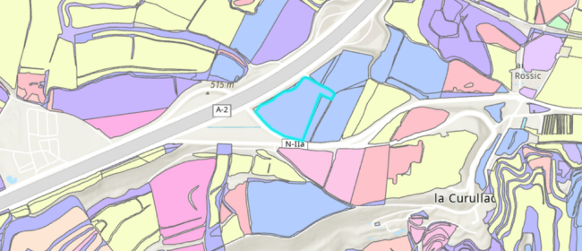 Unes 45.000 explotacions d’agricultors i ramaders ja poden presentar la DUN 2026