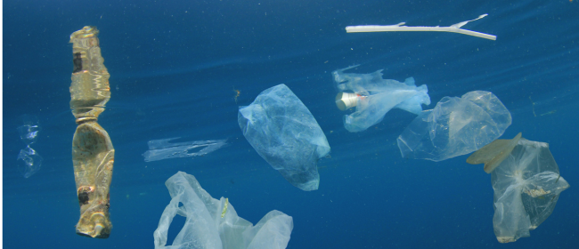 La implicació ciutadana pren protagonsime en un nou projecte europeu contra la contaminació marina per plàstics