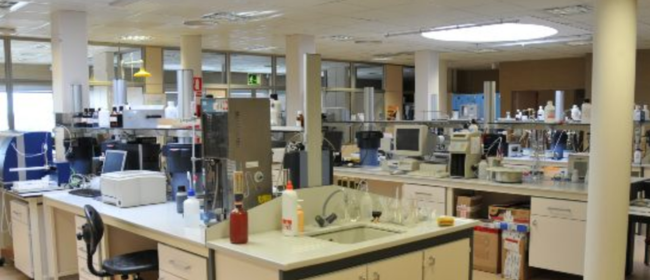 REPORTATGE - INCAVILAB, el laboratori que vetlla per la qualitat i l'autenticitat del vi català