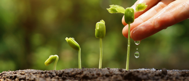 L'agricultura regenerativa produeix aliments més saludables i acumula fins a un 35% més de carboni al sòl que la convencional