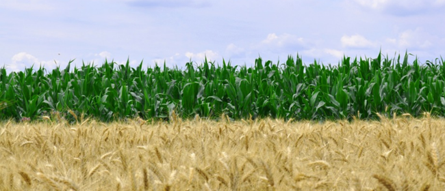 La UE obre la porta a ampliar l'ús de fertilitzants RENURE més enllà del límit de 170 kg N/ha i any