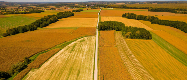 L'adaptació a la disminució dels recursos hídrics per a l'agricultura a l'Europa Mediterrània mitjançant la digitalització