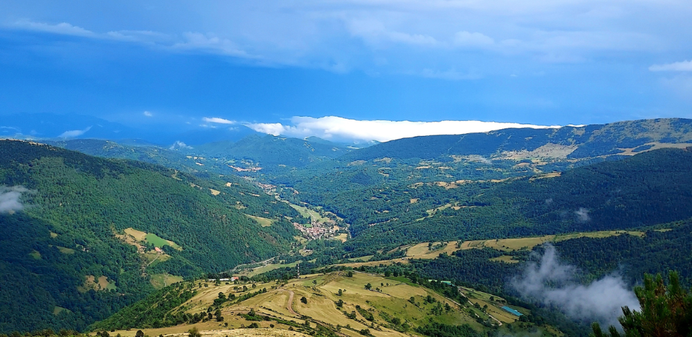 Nova línia d’ajuts per reforçar la resiliència dels paisatges agroforestals catalans mitjançant projectes col·laboratius i estratègies compartides al territori.