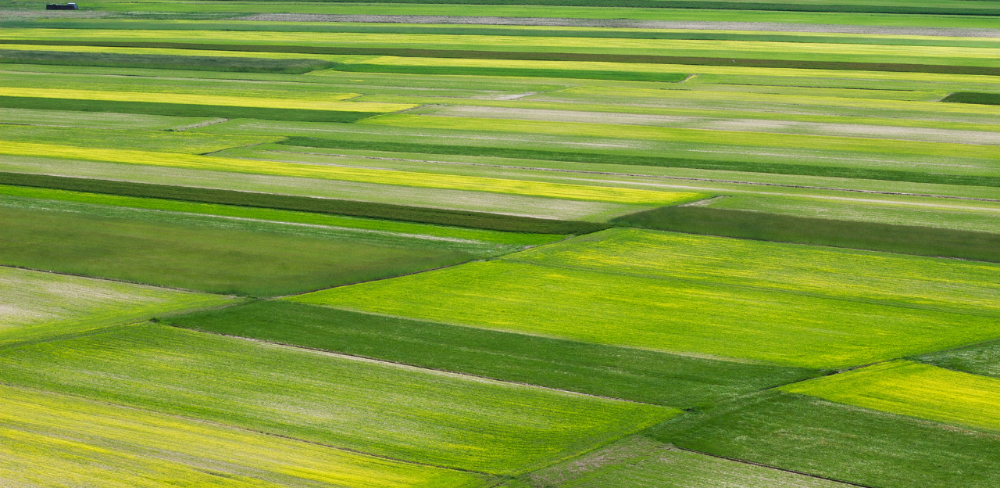 Les assegurances agràries són l'instrument principal per protegir les explotacions agrícoles, ramaderes, forestals i aqüícoles davant els riscos climatològics.