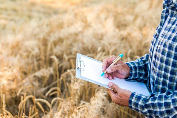 Curs: 'Eines pràctiques pel teu negoci. Fem fàcil el que sembla difícil'
