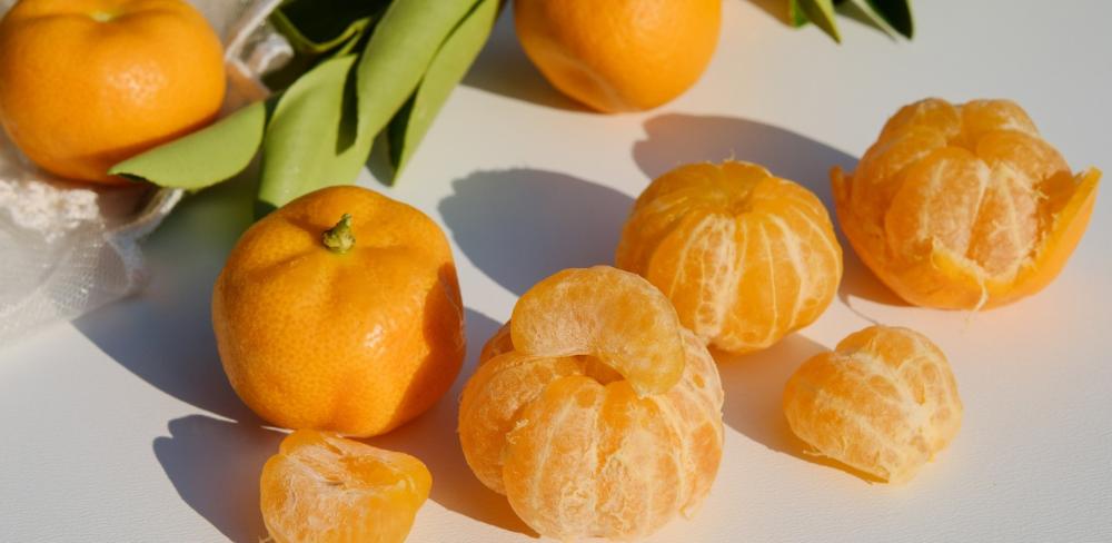 La iniciativa subratlla la importància de les accions de promoció per al sector agroalimentari català, aspira a connectar productor i consumidor i a enfortir la cadena alimentària