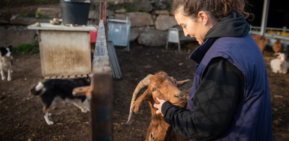 Dona ramadera en una explotació rural