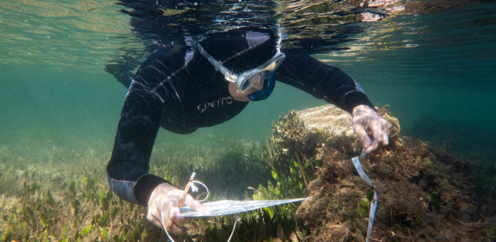 Treballs d’exploració científica del fons marí en el marc del projecte de restauració d’hàbitats marins estratègics del litoral català.