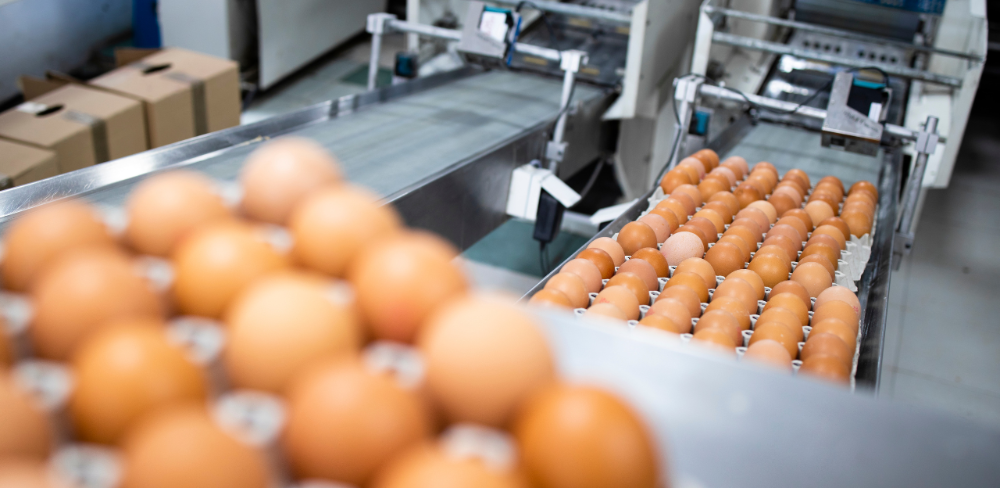 La indústria agroalimentària és la baula intermèdia de la cadena alimentària, que comprèn des de la producció primària fins a la distribució