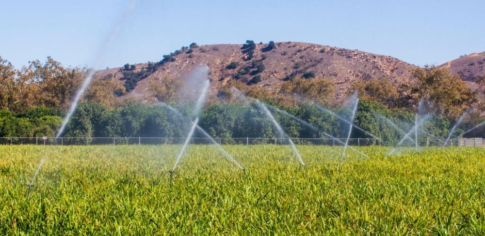 La cita estarà dedicada íntegrament a la qualitat de l’aigua de reg, un aspecte que preocupa cada vegada més productors i tècnics