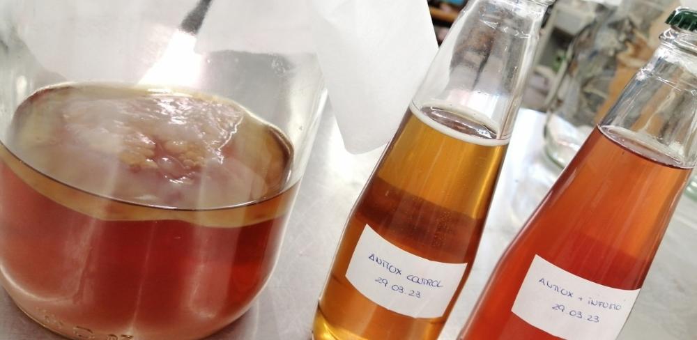 Una iniciativa que impulsa la sostenibilitat, la competitivitat i l’aprofitament dels subproductes de l’horta catalana