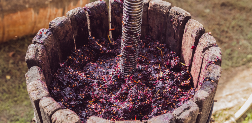 El termini per presentar les sol·licituds d'ajut s'estén fins al 20 de juliol de 2026