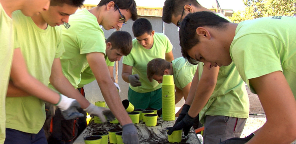 Alumnat de l'Escola Agrària d'Amposta  durant una pràctica de treball