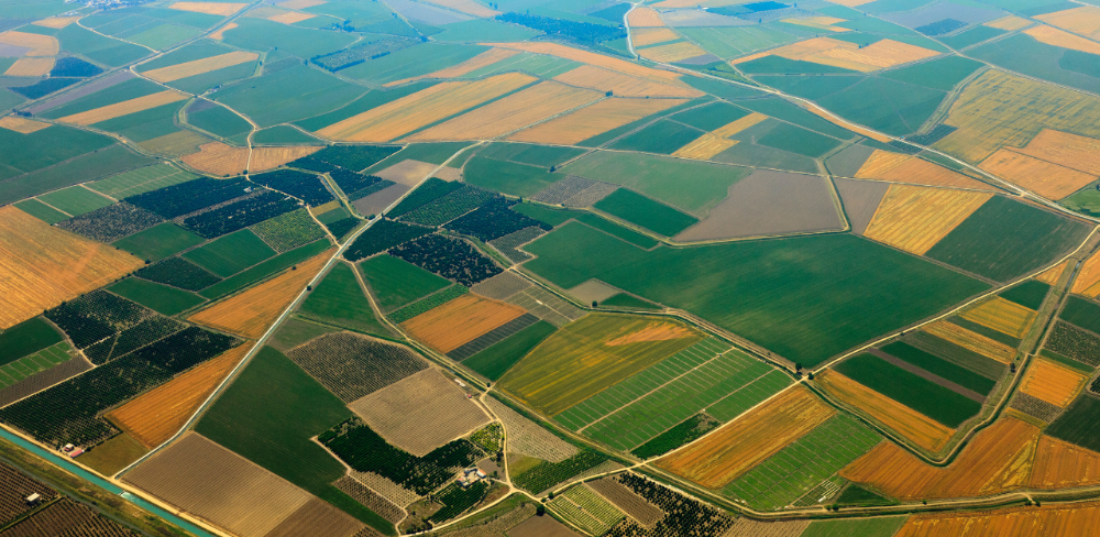 Actualització anual del SIGPAC, El SIGPAC és la base gràfica de referència per a la declaració de superfícies agrícoles vinculades als ajuts de la PAC a Catalunya.