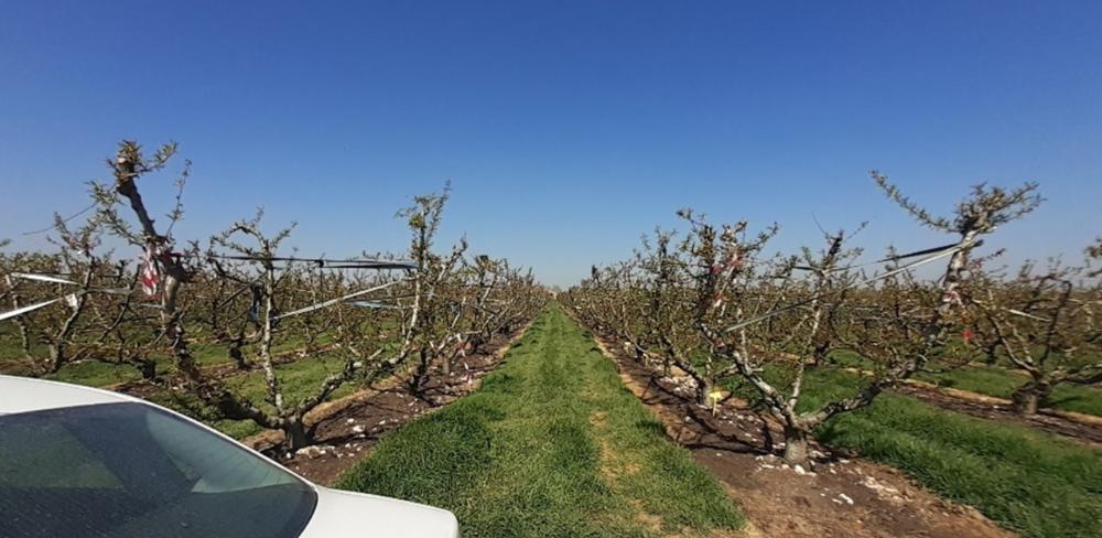 Projecte pilot innovador del Grup Operatiu 