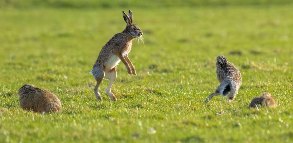Entre abril de 2024 i abril de 2025 es van registrar 3.917 comunicacions de danys a finques